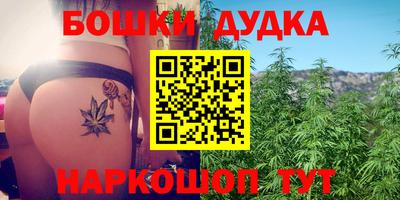 PSILOCYBIN Будённовск