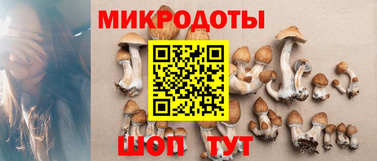 Псилоцибиновые грибы Psilocybe  Вход с VPN  Кунгур 