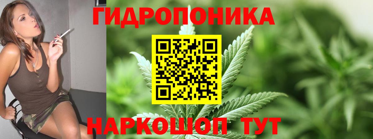 Кунгур  Марихуана конопля  Шишки марихуана OG Kush  Бошки Шишки MAZAR  Вход с VPN 